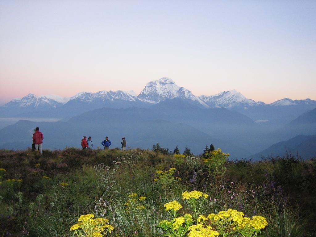 Peace Eye Guest House Pokhara Exterior foto